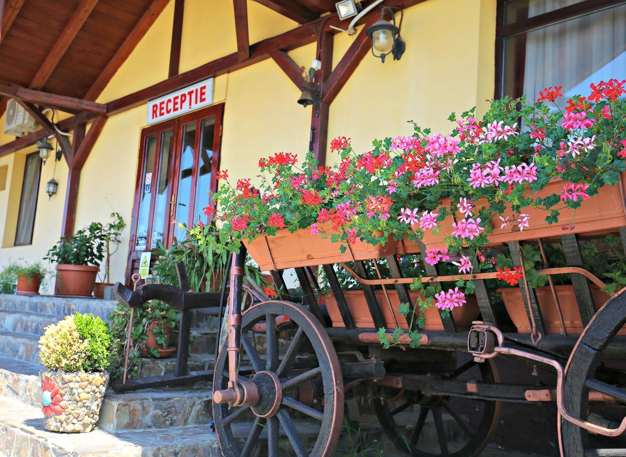 Pension Varadia Орадя Экстерьер фото